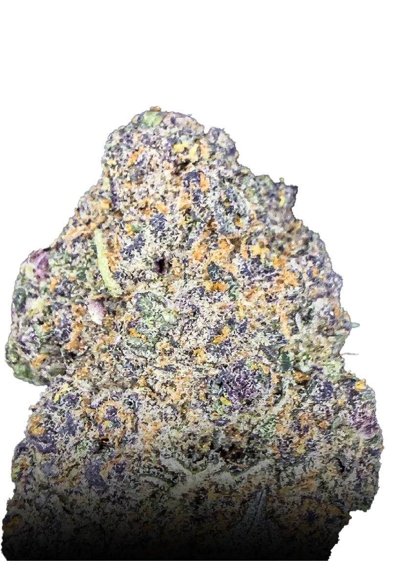 Black Mamba medical cannabis flower