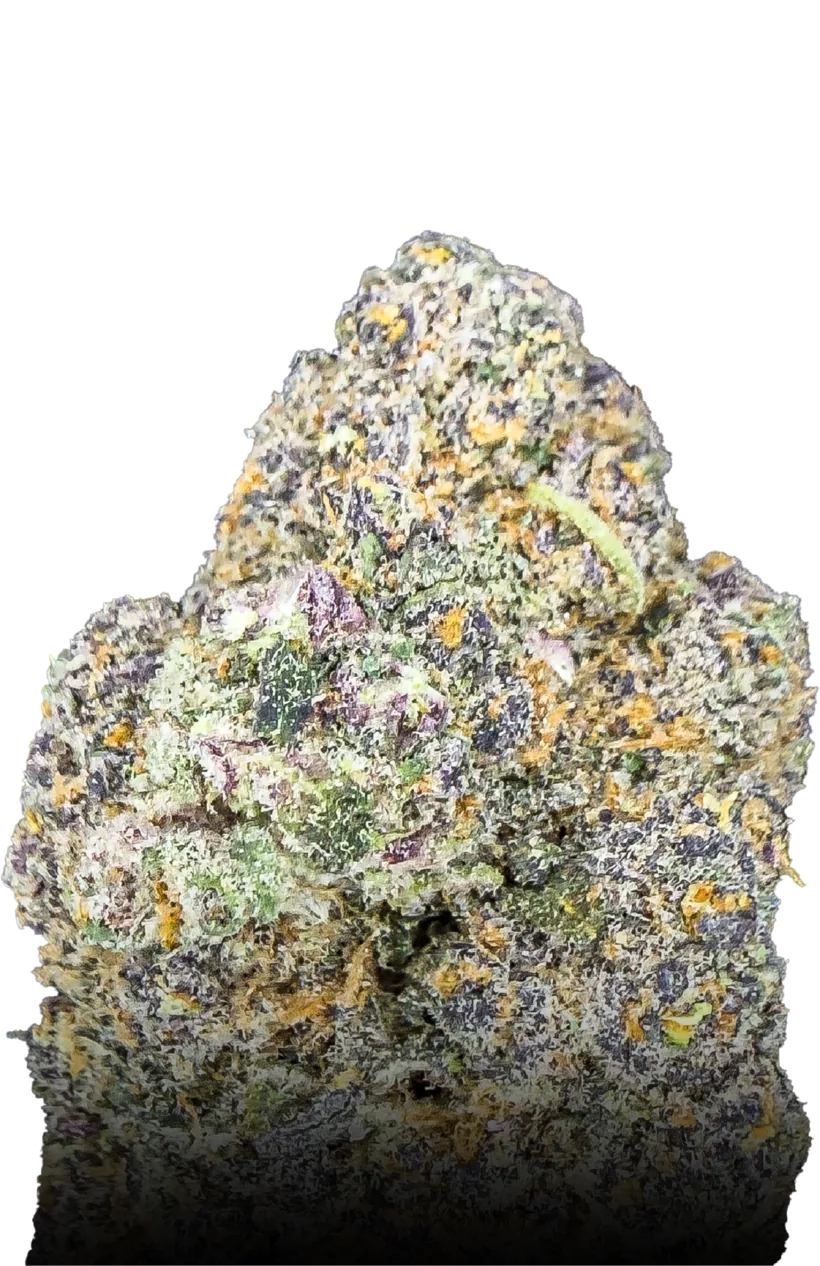 Cereal Milk medical cannabis flower