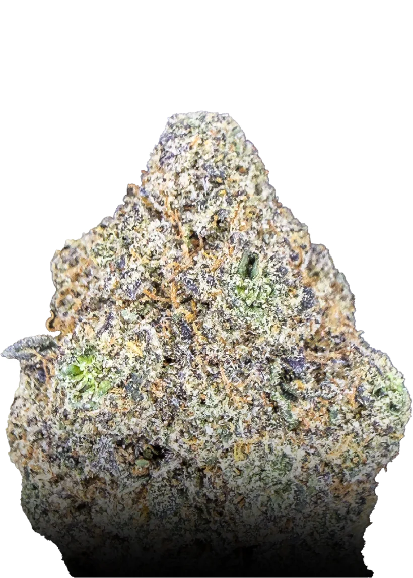 Frosty Papaya Pie medical cannabis flower