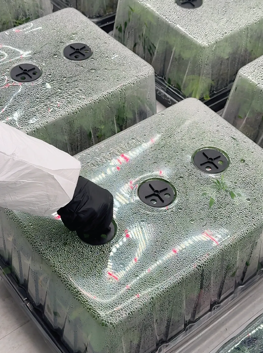 Precision Clone Propagation