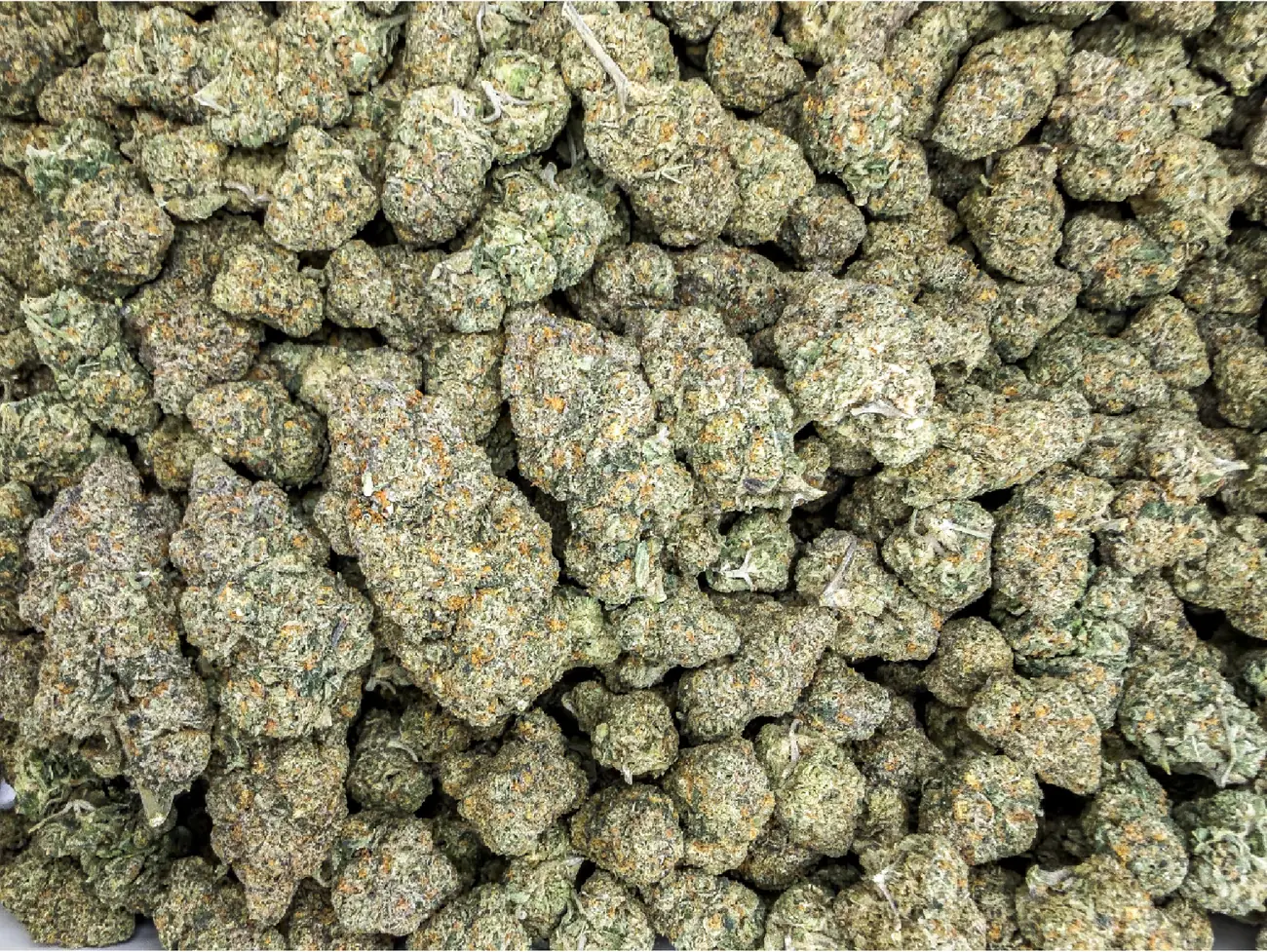 Black Mamba premium medical cannabis flower, close up 5, Idol Farm Thailand