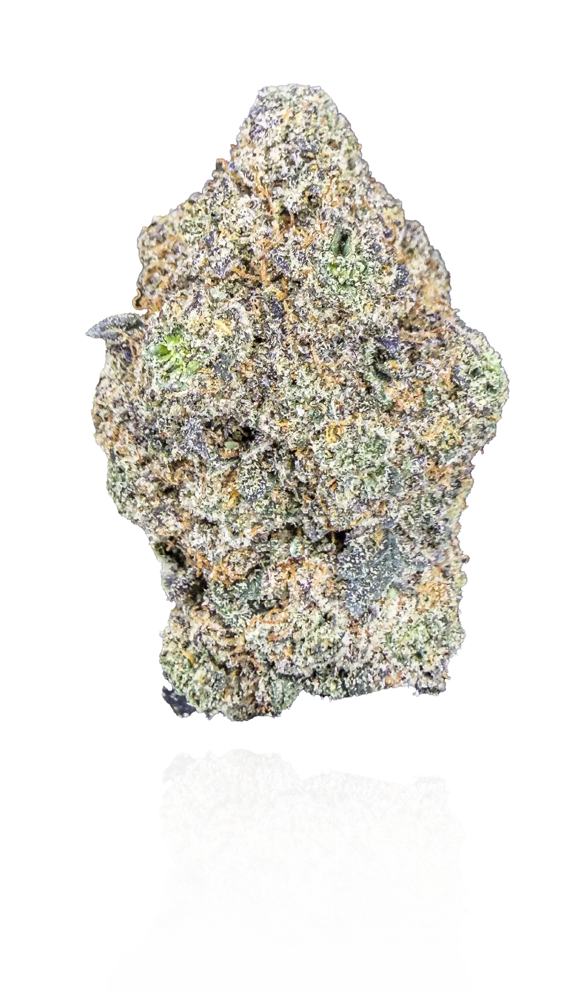 Frosty Papaya Pie premium medical cannabis flower, Idol Farm Thailand