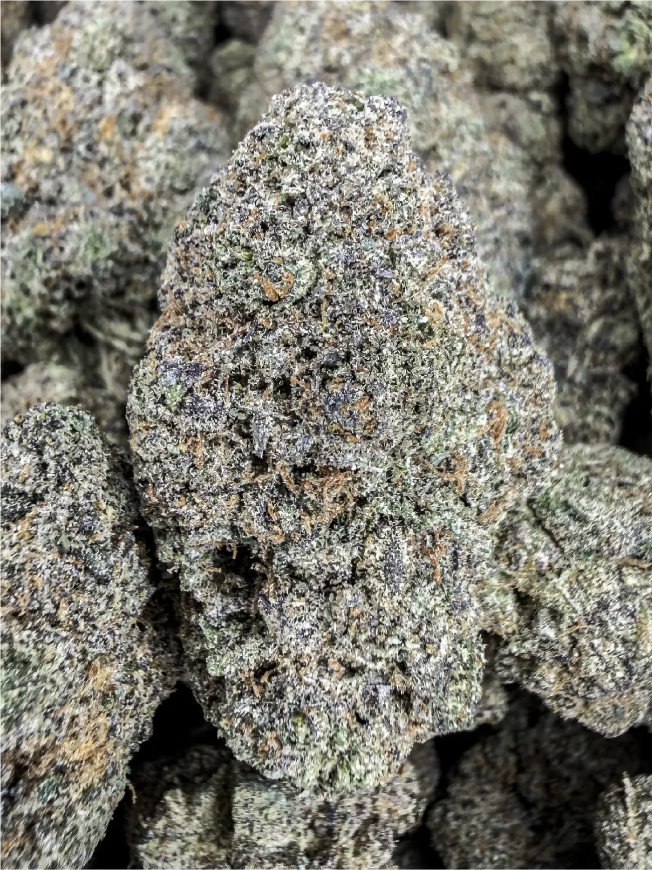 Frosty Sour Diesel premium medical cannabis flower, close up 2, Idol Farm Thailand