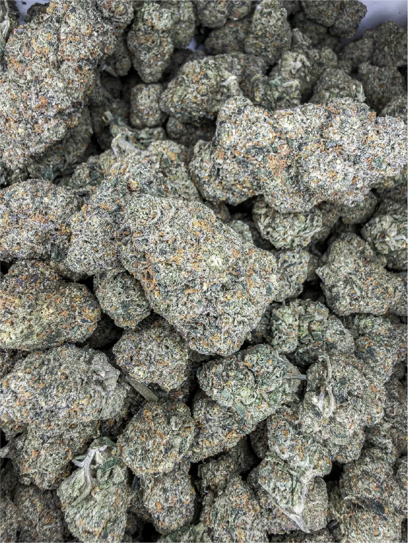 Frosty Sour Diesel premium medical cannabis flower, close up 5, Idol Farm Thailand