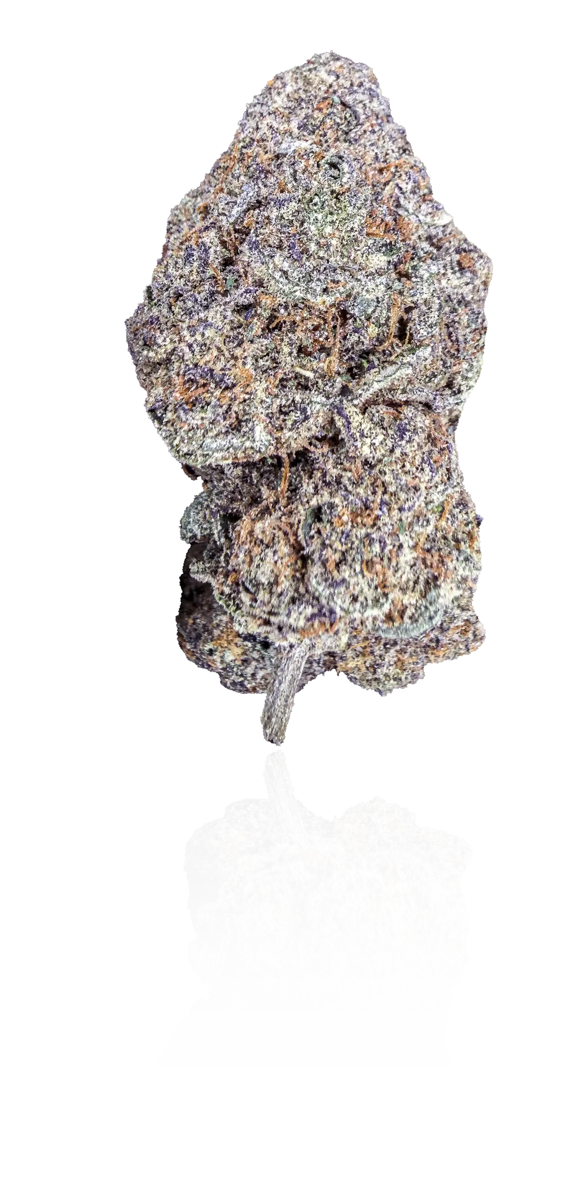 Shadow Neon premium medical cannabis flower, Idol Farm Thailand